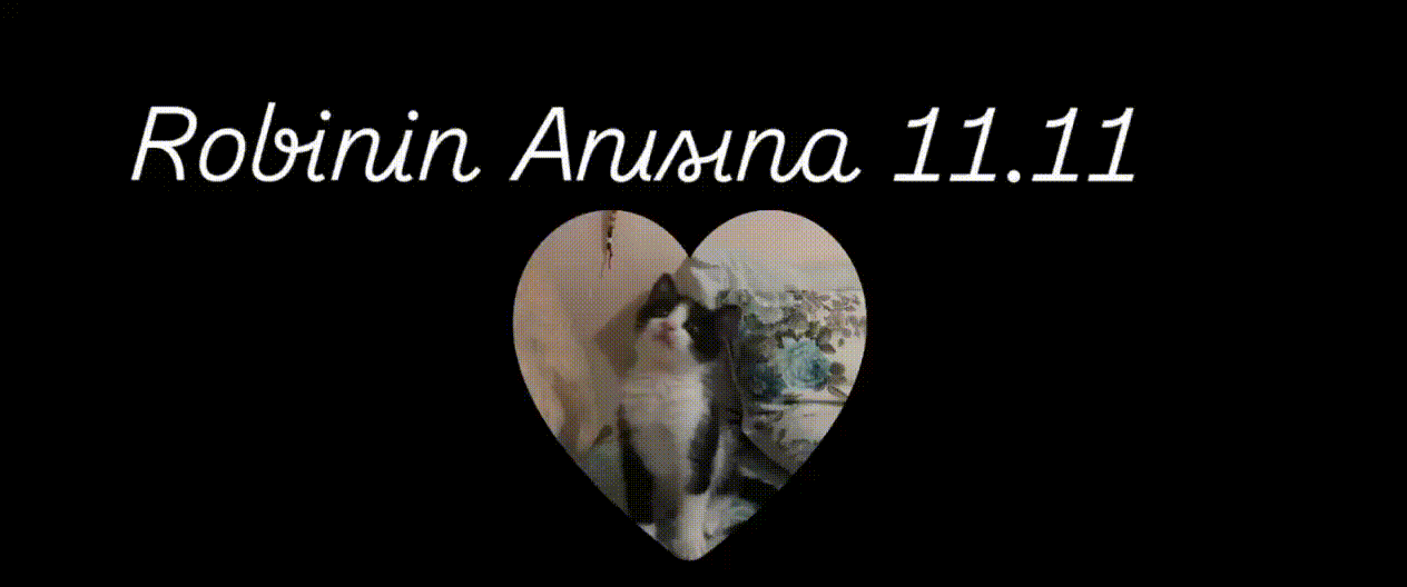 Robin Anısına